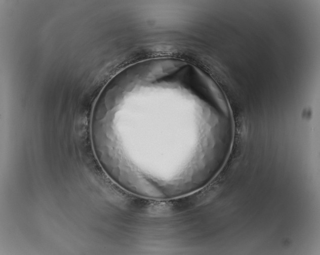 X0000113200369200909241405