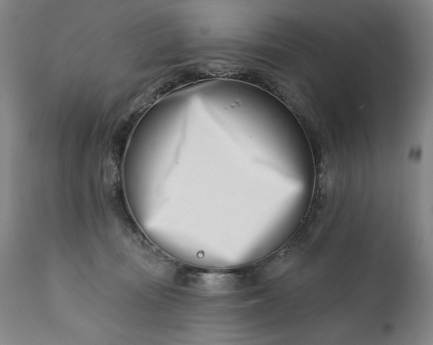 X0000113200371200909241405