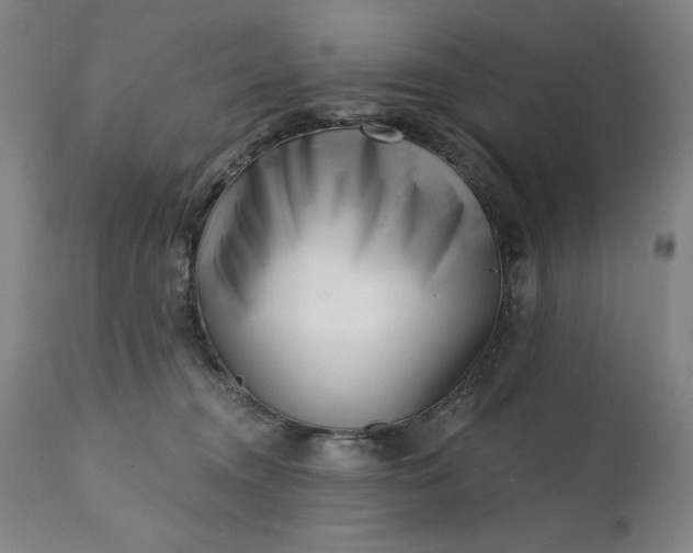 X0000113200372200909241405