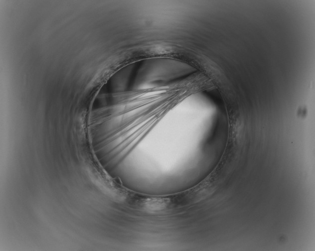 X0000113200373200909241405