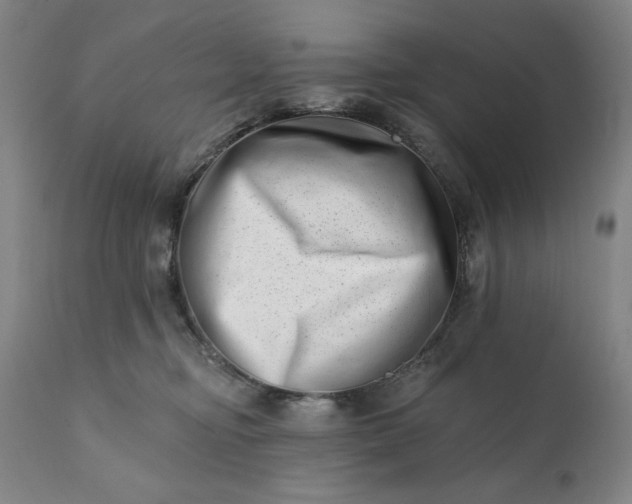 X0000113200374200909241405