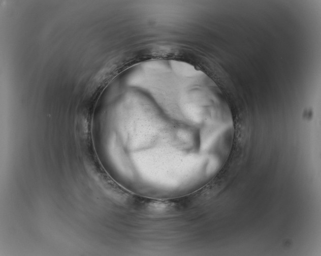 X0000113200375200909241405