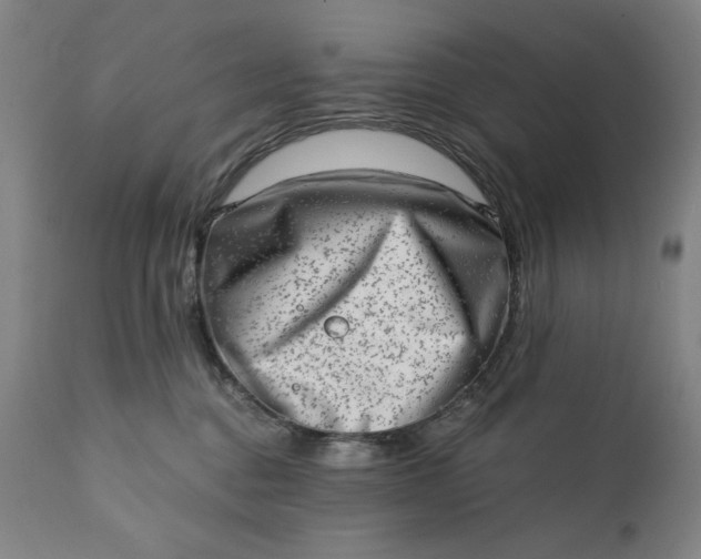 X0000113200376200909241405