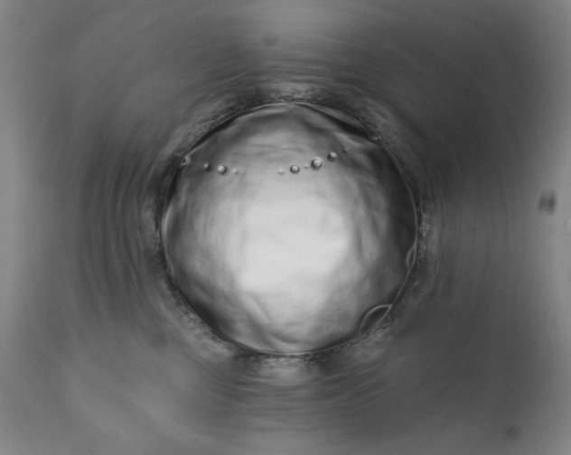 X0000113200377200909241405