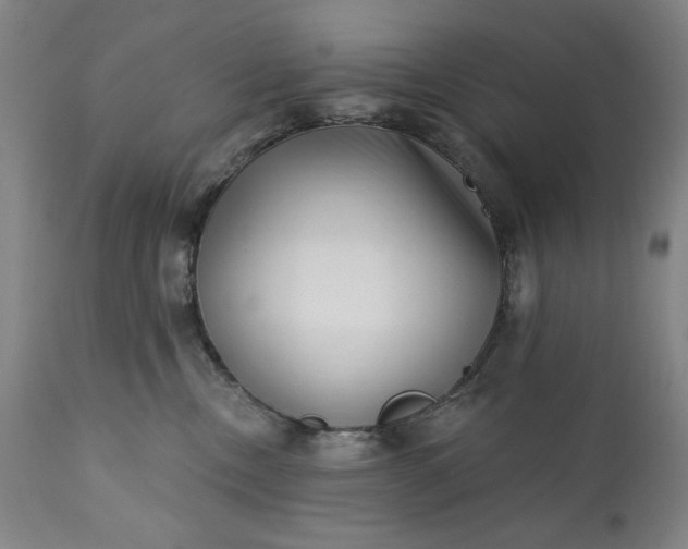 X0000113200378200909241405