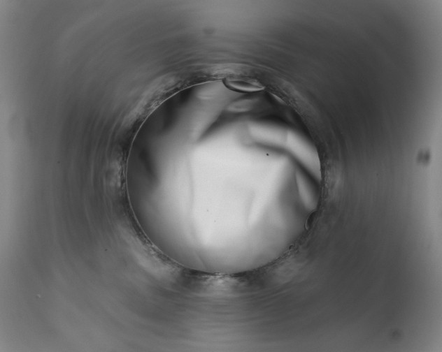 X0000113200379200909241405