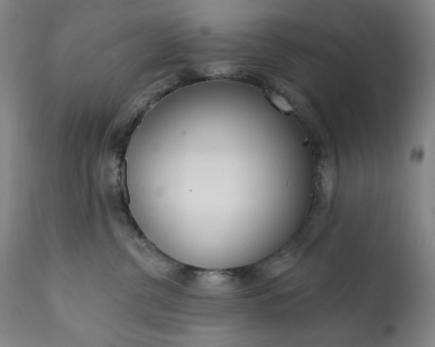 X0000113200380200909241405