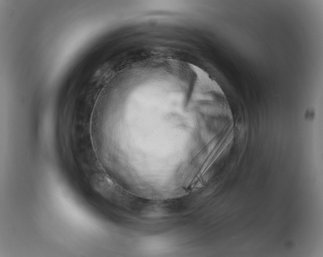 X0000113200381200909241405