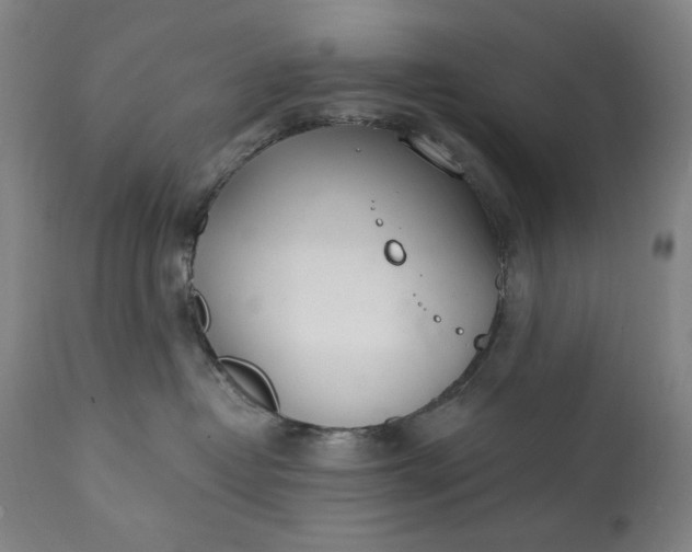 X0000113200382200909241405