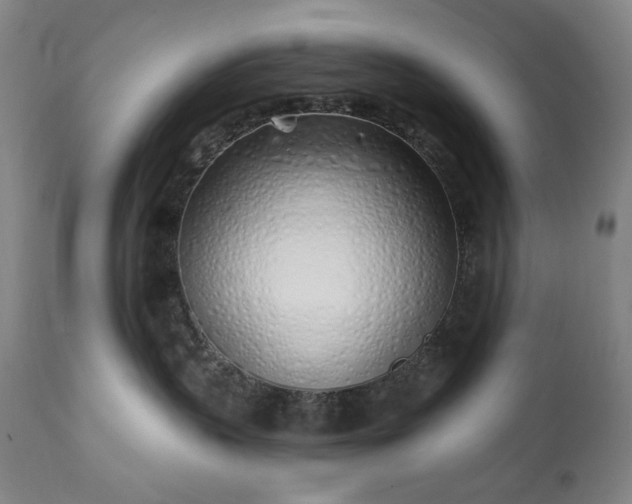 X0000113200383200909241405