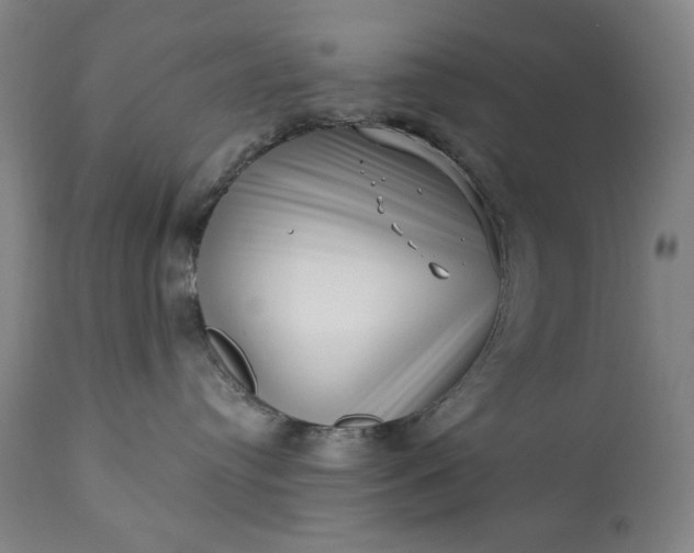 X0000113200384200909241405