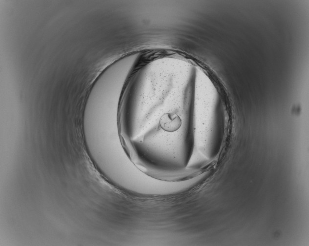 X0000113200385200909241404