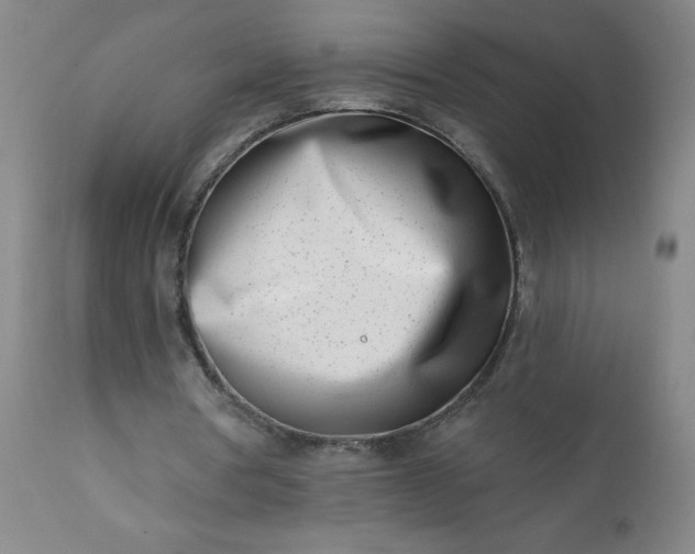 X0000113200386200909241404