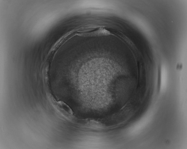 X0000113200387200909241404