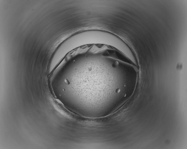 X0000113200389200909241404