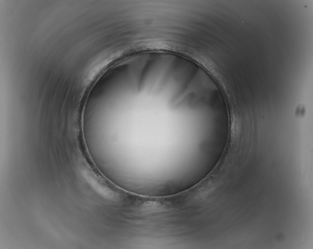 X0000113200390200909241404