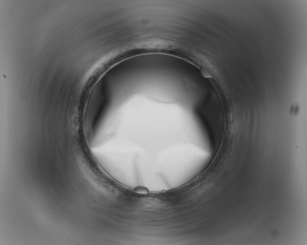 X0000113200392200909241404