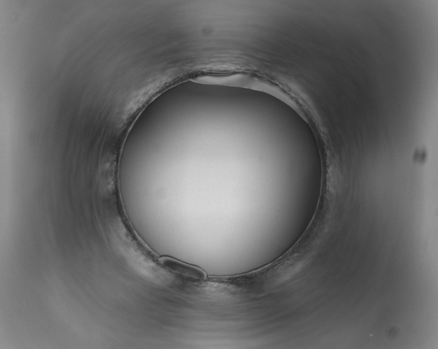 X0000113200393200909241404