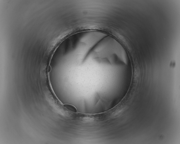 X0000113200394200909241404