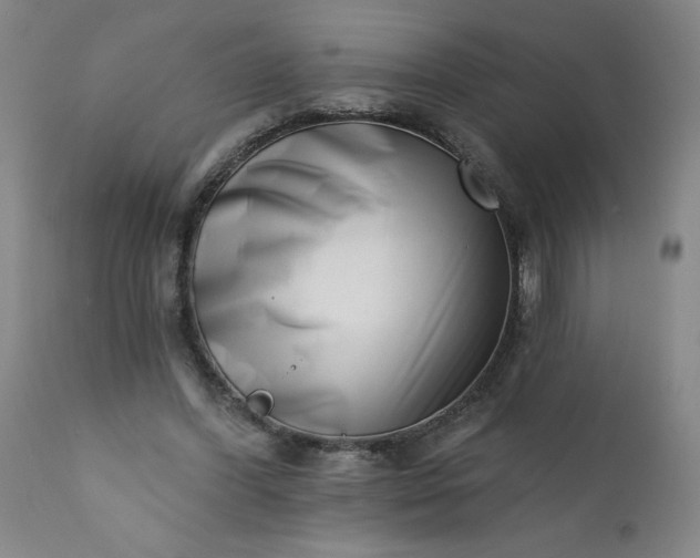 X0000113200396200909241404