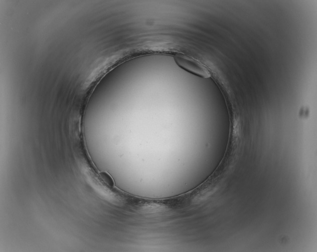 X0000113200397200909241404