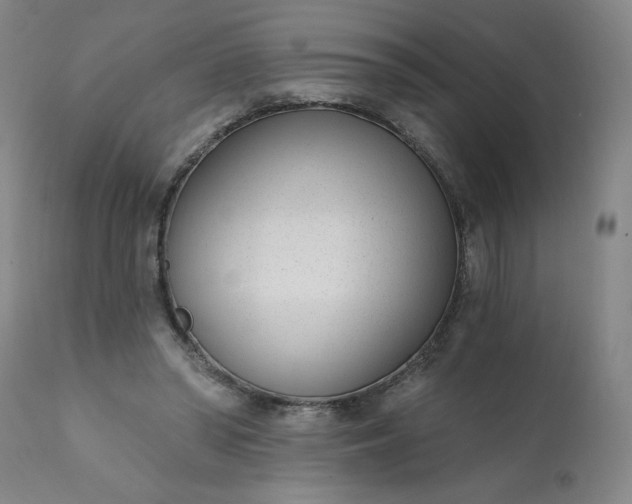 X0000113200398200909241404