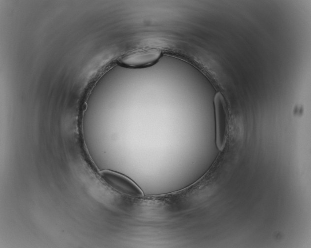 X0000113200399200909241404