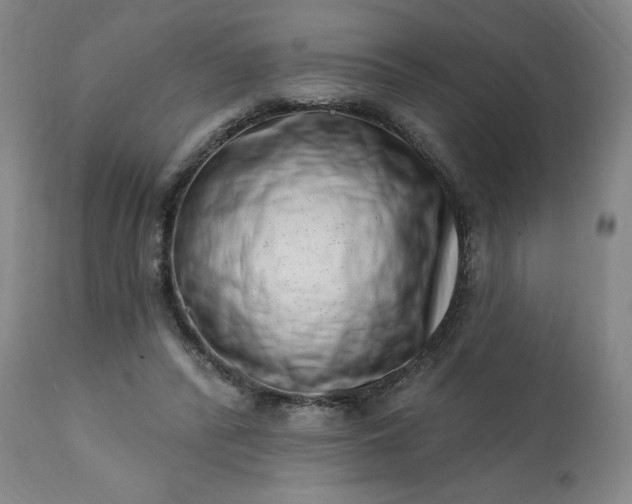 X0000113200400200909241404