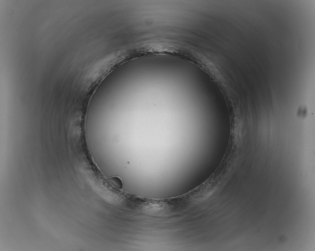 X0000113200402200909241404