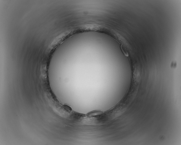 X0000113200403200909241404