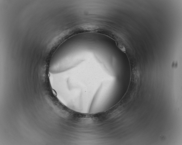 X0000113200404200909241404