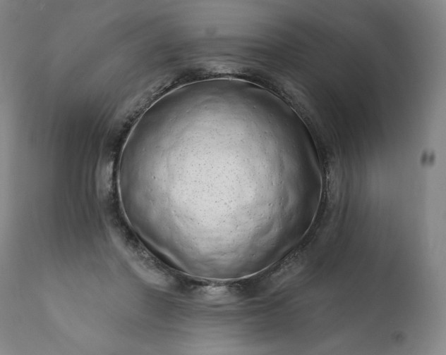 X0000113200406200909241404