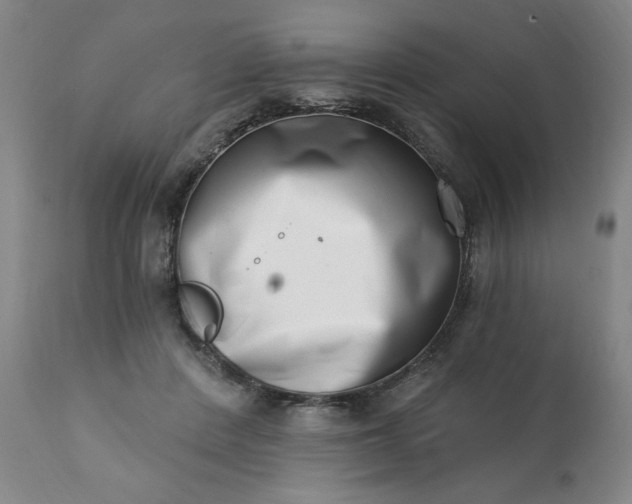 X0000113200408200909241404