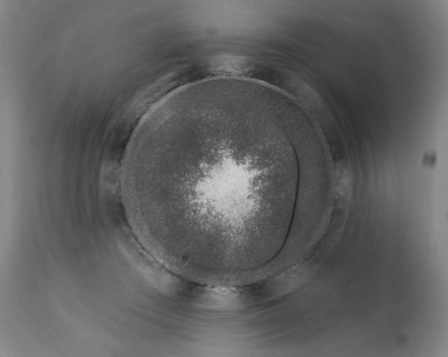 X0000113200409200909241404