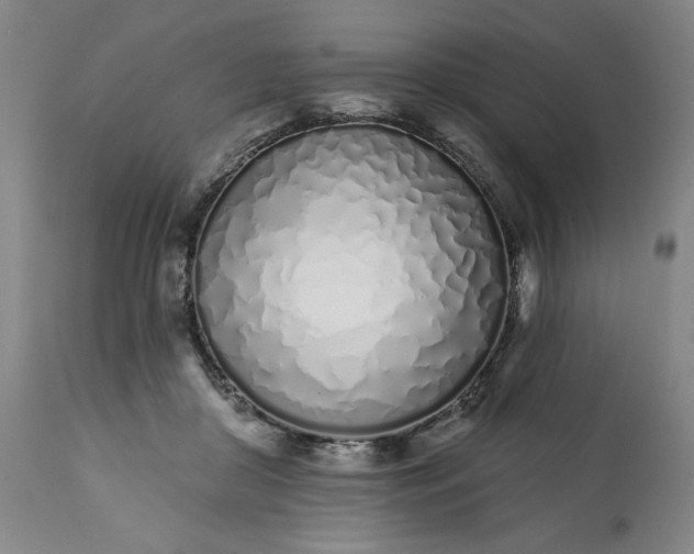 X0000113200410200909241404