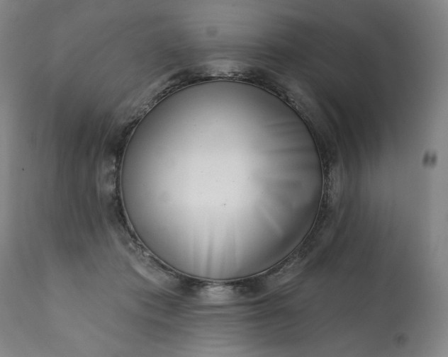 X0000113200413200909241404