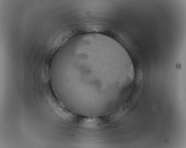 X0000113200414200909241404