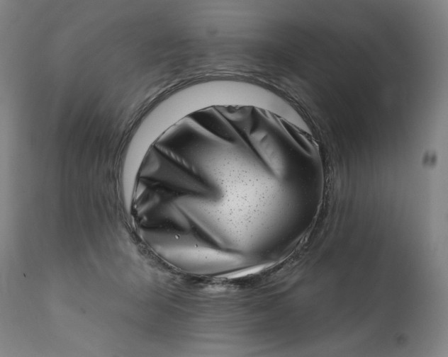 X0000113200415200909241404