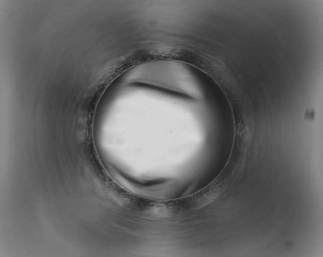 X0000113200416200909241404