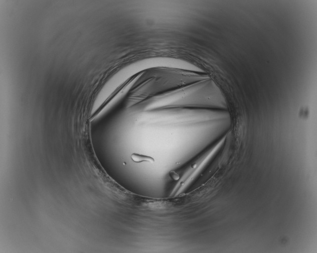 X0000113200417200909241404