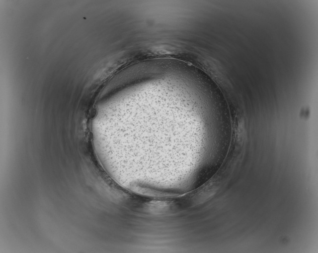 X0000113200418200909241404