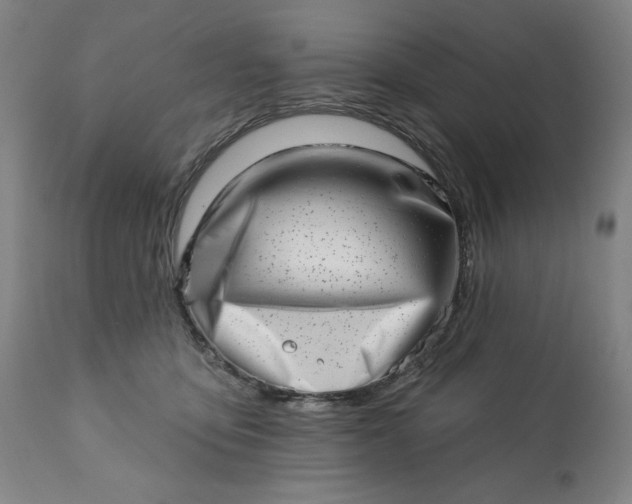 X0000113200419200909241404