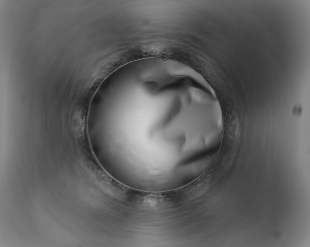 X0000113200420200909241404