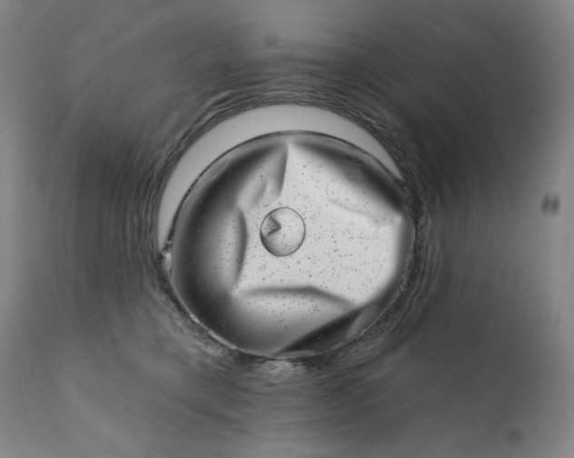 X0000113200421200909241404