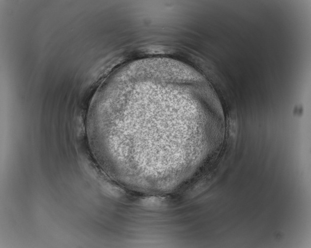 X0000113200422200909241404