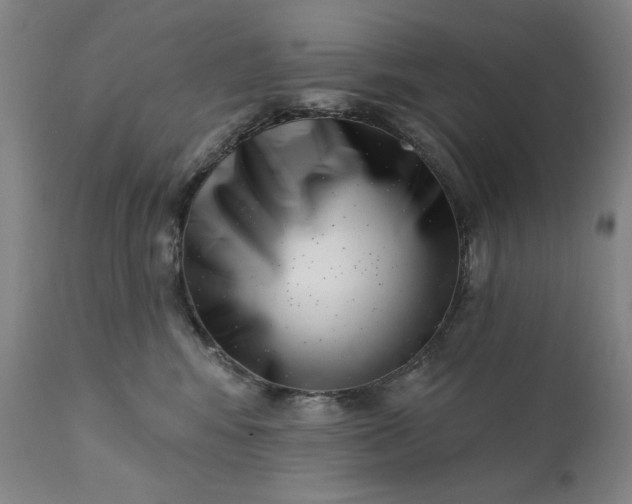 X0000113200424200909241404