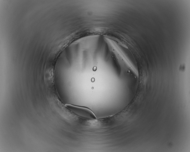 X0000113200425200909241404