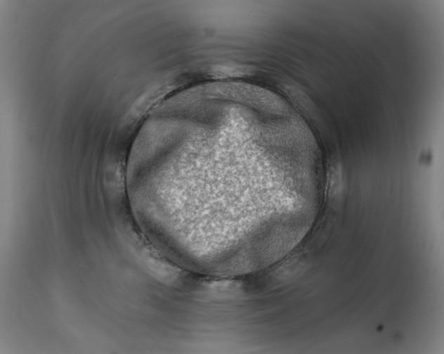 X0000113200426200909241404