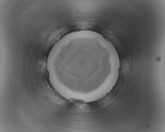 X0000113200427200909241404