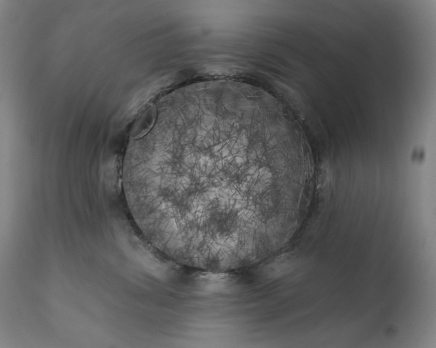 X0000113200428200909241403